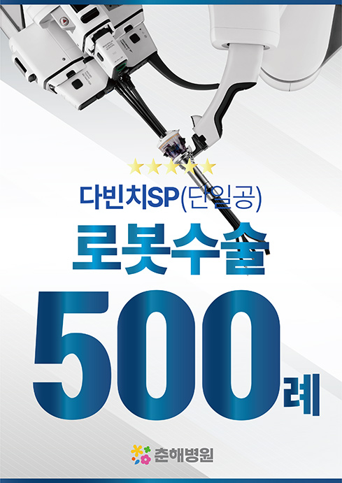 다빈치 500례